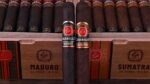 EP Carrillo Essence Maduro Toro - Görsel 2